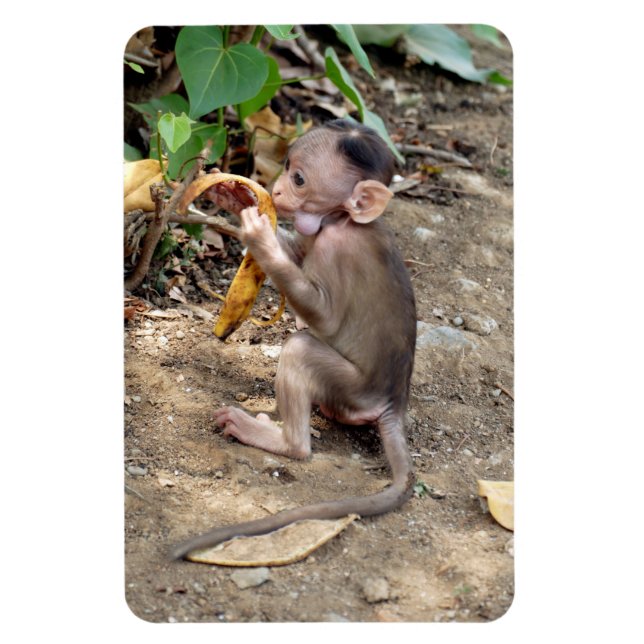Baby Monkey Magnet (Vertical)