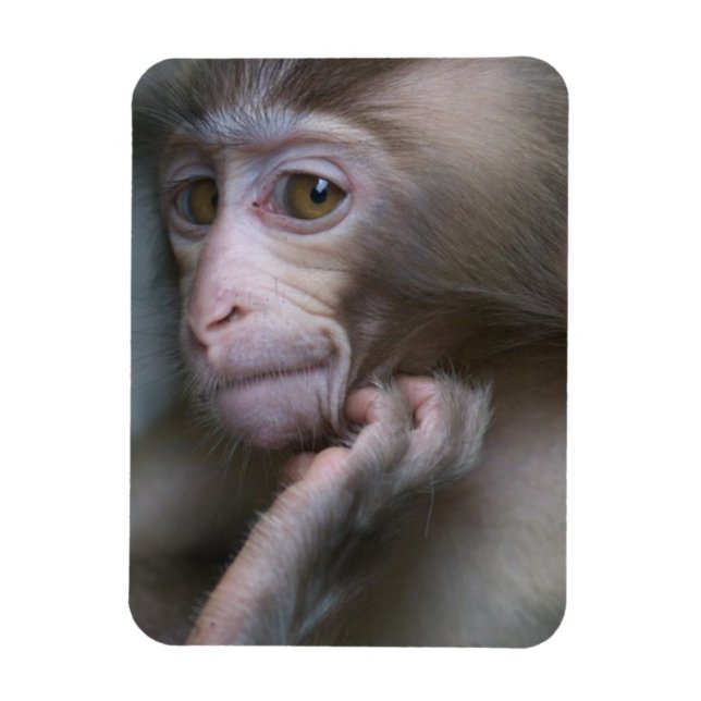 Baby Monkey Magnet (Vertical)