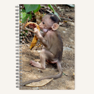 Baby Monkey Notebook