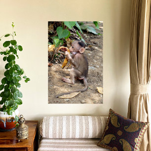 Baby Monkey Photo Print