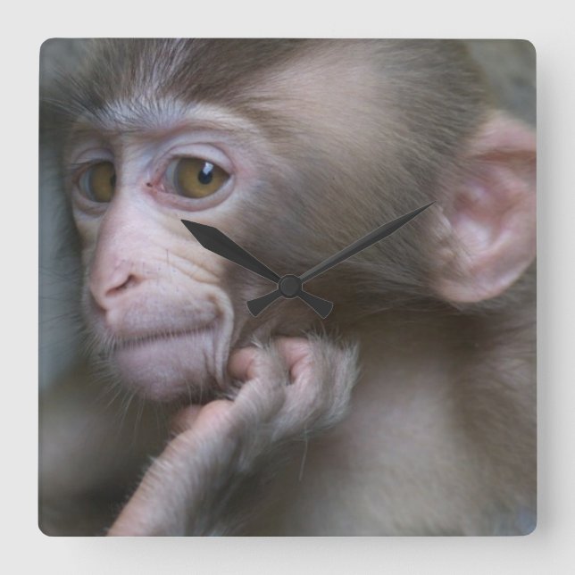 Baby Monkey Square Wall Clock (Front)