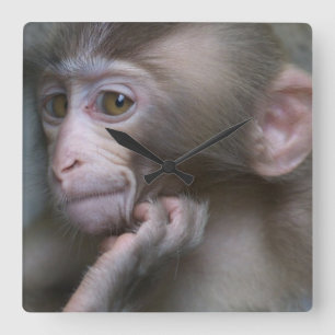 Baby Monkey Square Wall Clock