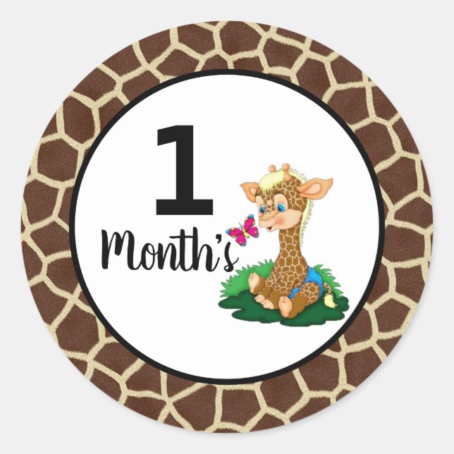Baby Month Stickers (Front)