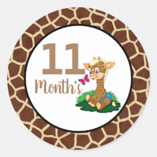 Baby Month Stickers