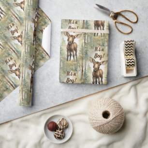 Baby Moose Its a Boy Baby Shower Wrapping Paper