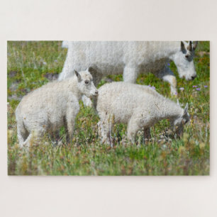 Baby Mountain Goats at Mount Rainier Jigsaw Puzzle