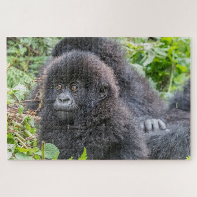 Baby Mountain Gorilla Jigsaw Puzzle (Horizontal)