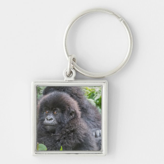 Baby Mountain Gorilla Key Ring (Front)