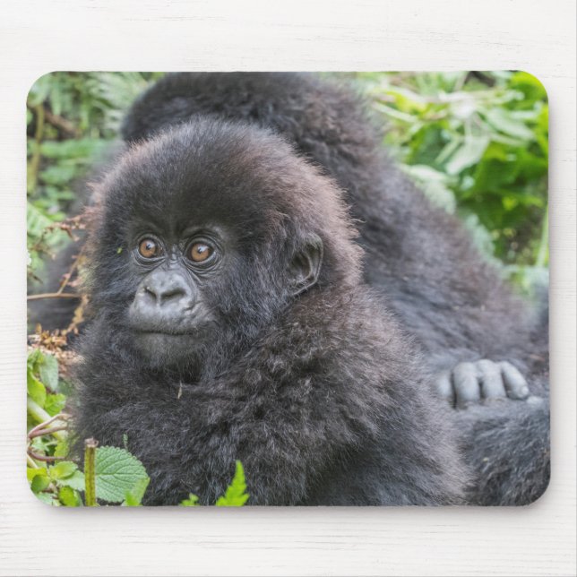Baby Mountain Gorilla Mouse Pad (Front)