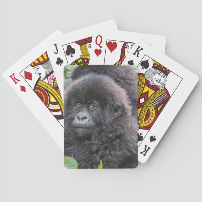 Baby Mountain Gorilla Playing Cards (Back)