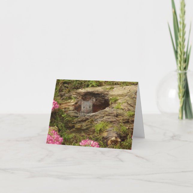 baby mouse card (Front)