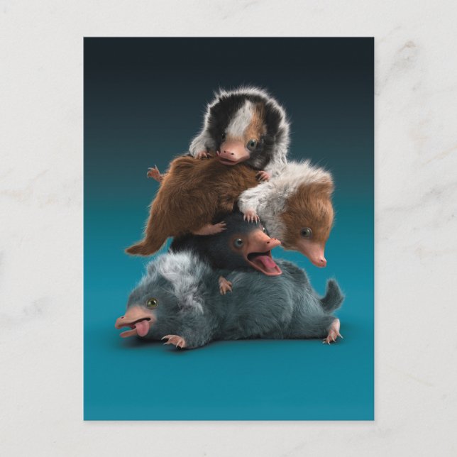 Baby NIFFLER™ Pile Postcard (Front)