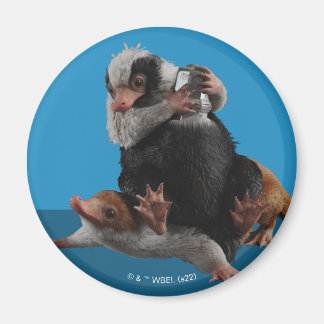 Baby Nifflers Find A Prize Magnet