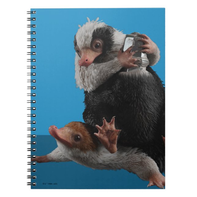 Baby Nifflers Find A Prize Notebook (Front)