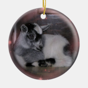 BABY NIGERIAN DWARF GOAT ORNAMENT
