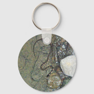 Baby Northern Water Snake (Nerodia sipedon) Items Key Ring