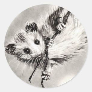 Baby Opossum Stickers