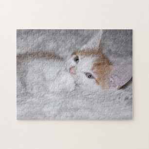 Baby orange and white tabby kitten jigsaw puzzle