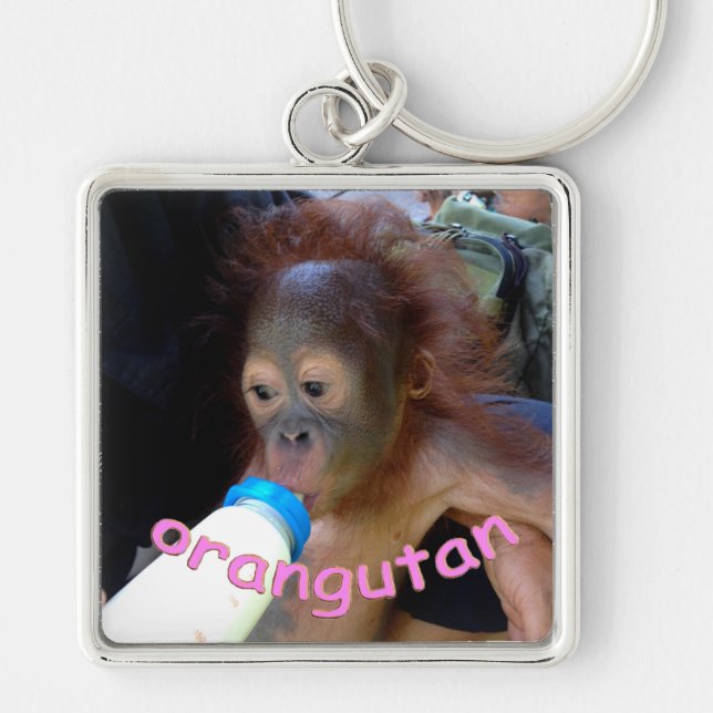 Baby Orangutan Drinks Bottle Key Ring (Front)