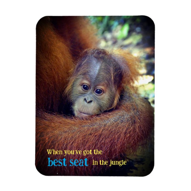 Baby Orangutan Magnet (Vertical)