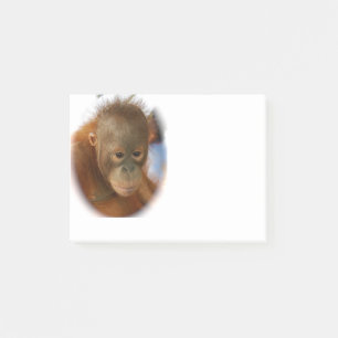Baby Orangutan Post-it Notes