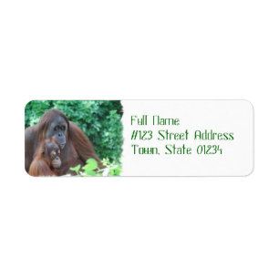Baby Orangutan with Mother Mailing Labels