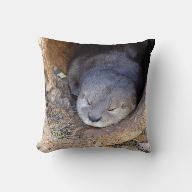 Baby Otter Cushion (Front)