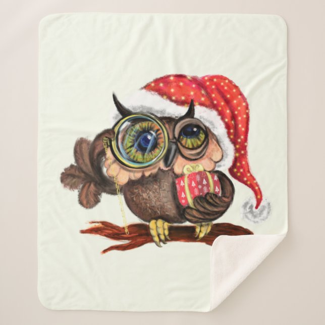 Baby Owl In Christmas Hat and Gift Sherpa Blanket (Front)