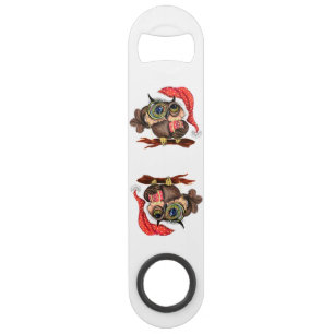 Baby Owl In Hat and Gift Christmas Bar Key