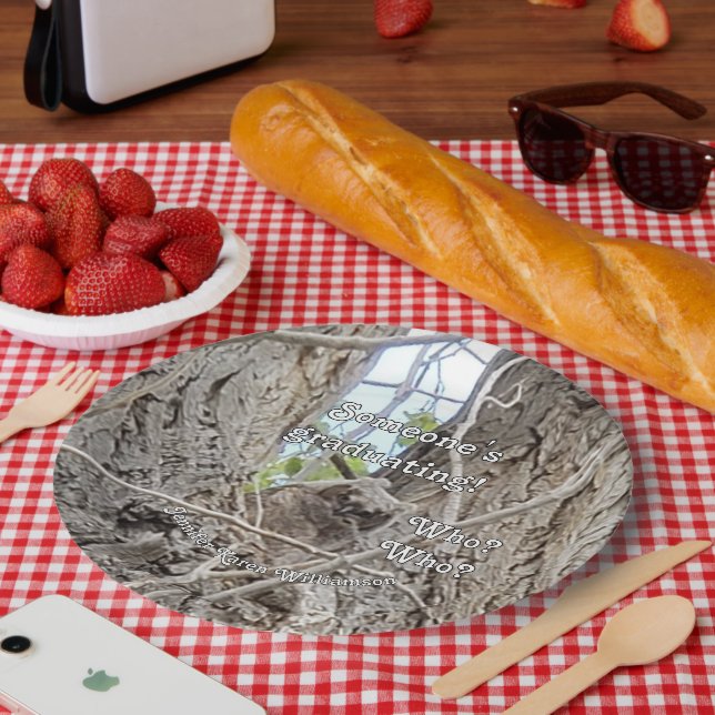 Baby Owl in Tree Someone's Graduating Who Who  Paper Plate (Picnic)