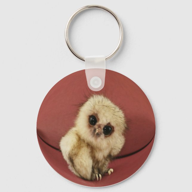 Baby Owl Keychain (Front)