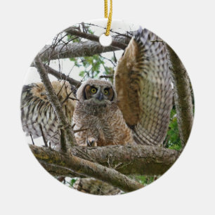 Baby Owl Picture Ceramic Ornament
