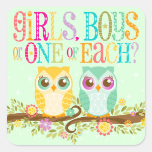 Baby Owl Twins - Gender Reveal / Unknown Square Sticker