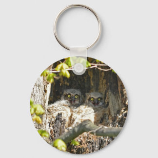 Baby Owls Key Ring