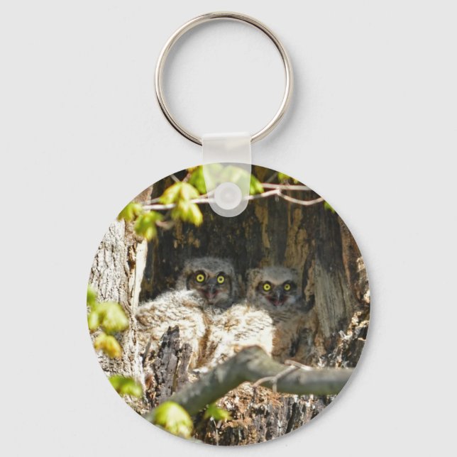 Baby Owls Key Ring (Front)
