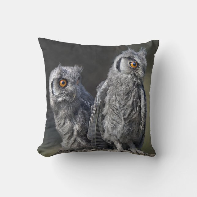Baby Owls Pillow (Front)