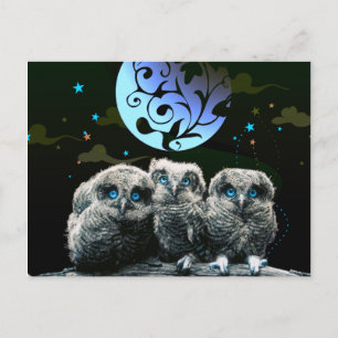 Baby Owls Under The Moonlight Postcard