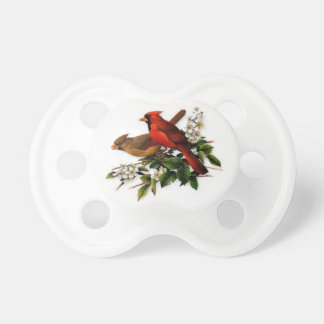 Baby pacifier with beautiful cardinal birds.