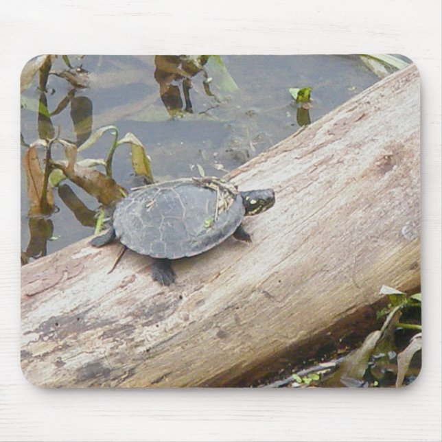 Baby Painted Turtle Mousepad (Front)