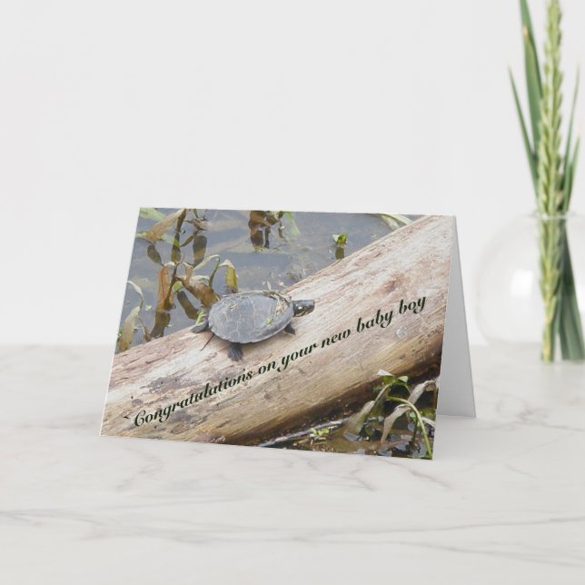Baby Painted Turtle New Baby Boy Card (Front)