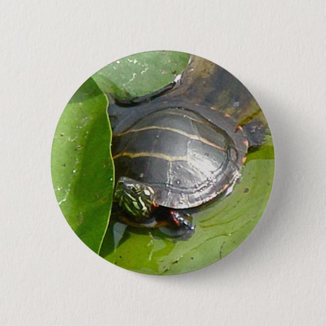 Baby Painted Turtle on Lilypad Items 6 Cm Round Badge (Front)