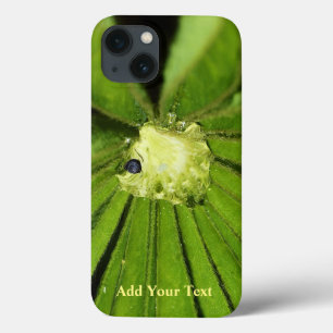 Baby Palm Plant by Shirley Taylor iPhone 13 Case