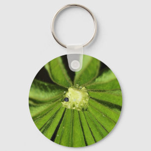Baby Palm Plant by Shirley Taylor Key Ring