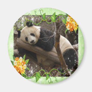 baby-panda-00018-85x85 magnet