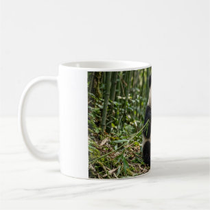 Baby Panda Eating Bamboo Coffee Mug