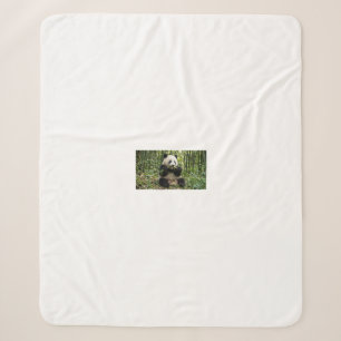 Baby Panda Eating Bamboo Cute Sherpa Blanket