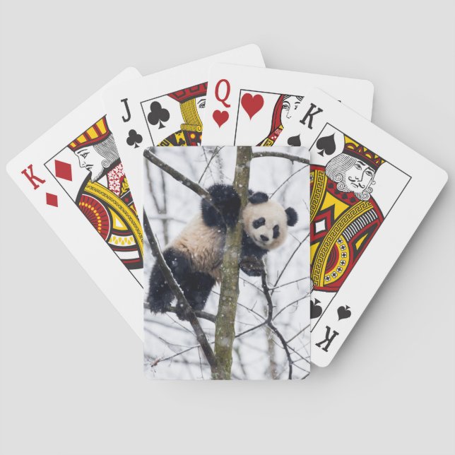 Baby Panda in Tree Playing Cards (Back)