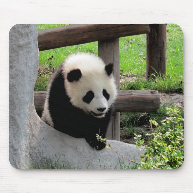 Baby Panda Mouse Pad (Front)