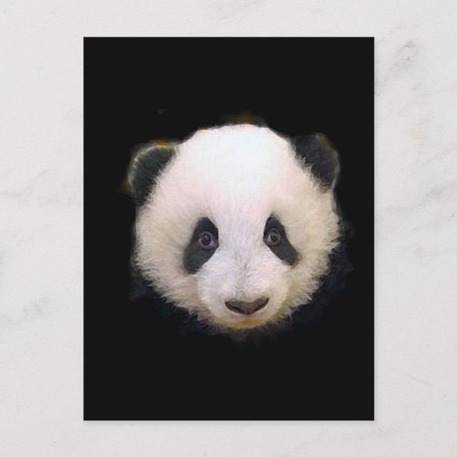 Baby Panda Postcard (Front)