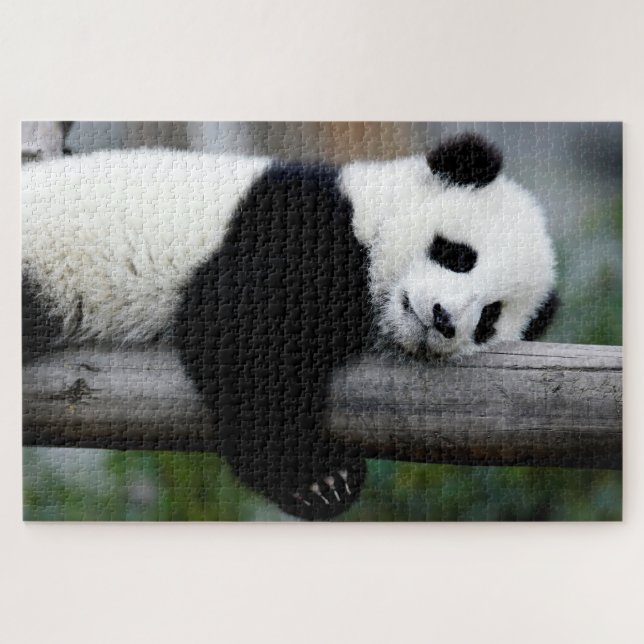 Baby Panda sleeping on a tree, Jigsaw Puzzle (Horizontal)